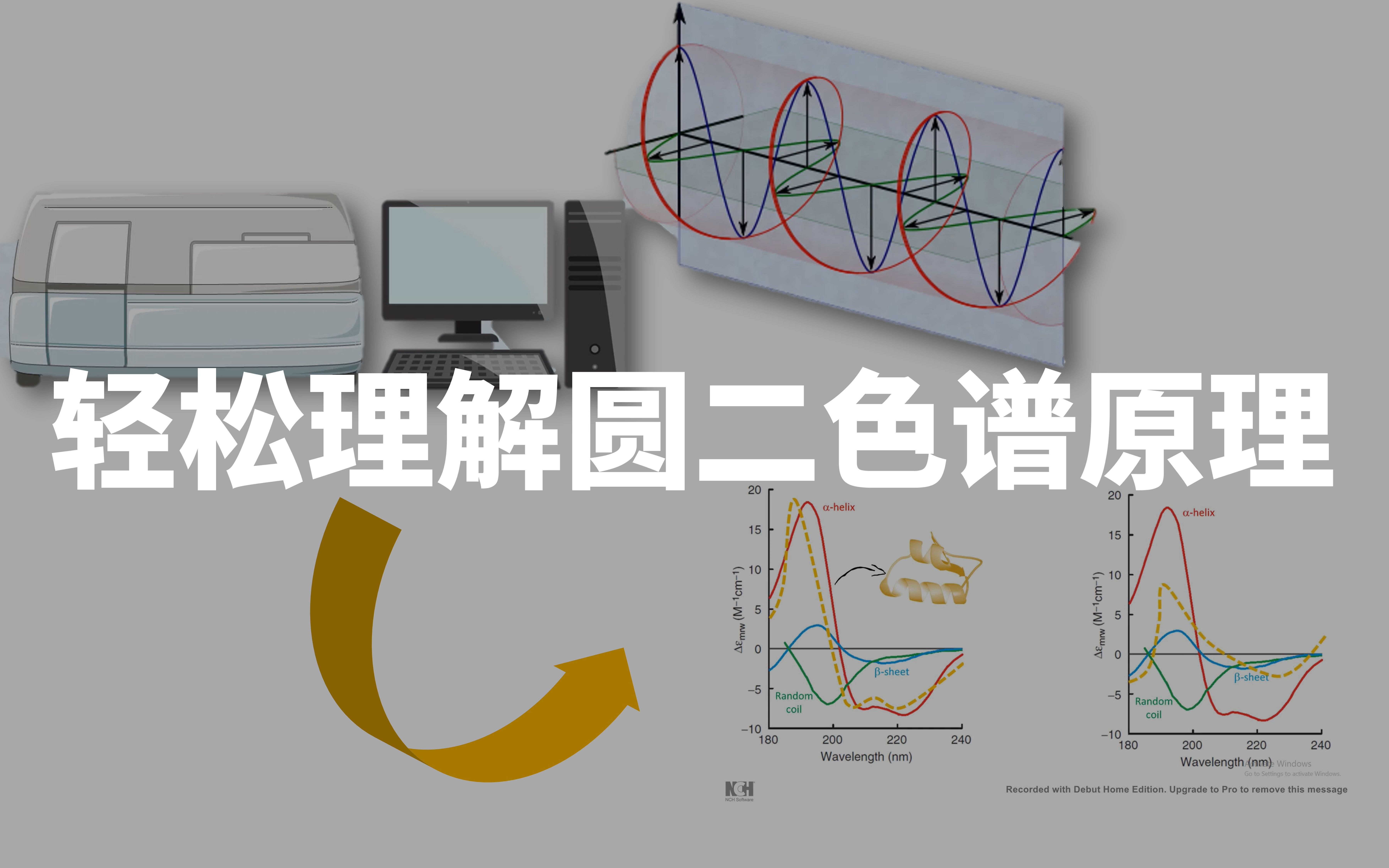 圆二色谱原理图片