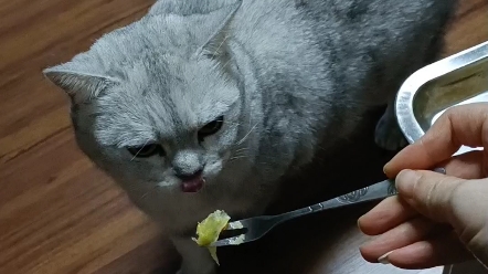 吃什么吃!只许看不许吃!