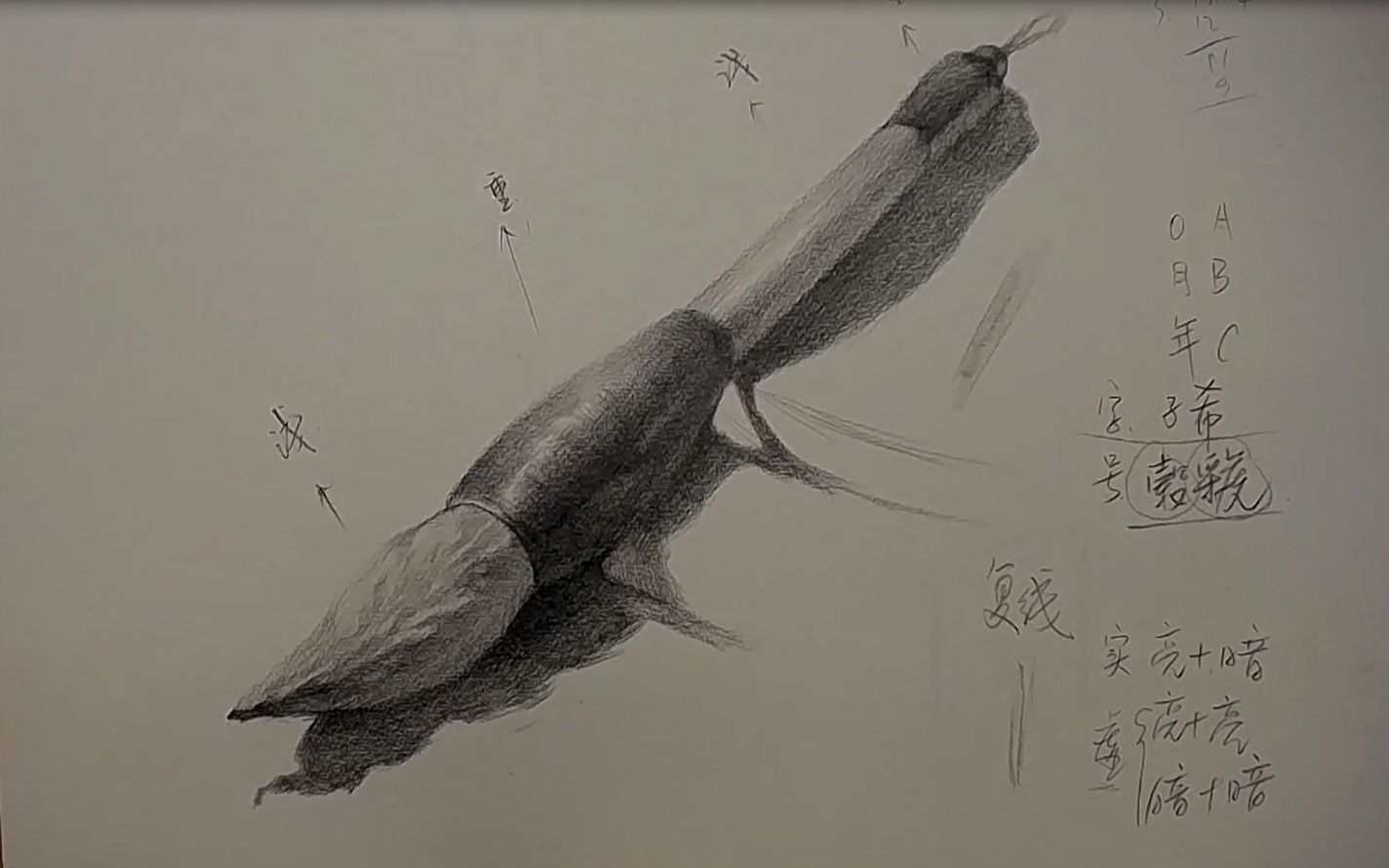 【素描 手绘教程】压箱底的毛笔教程出来啦