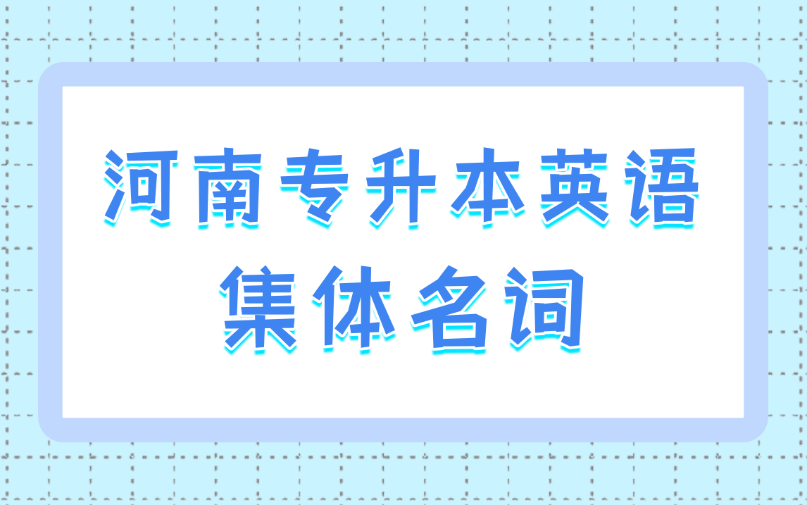 【红砖升本】河南专升本公共英语——集体名词哔哩哔哩bilibili