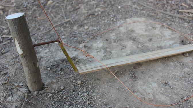 非常灵敏的吊脚套捕猎陷阱,简单实用,安装简单