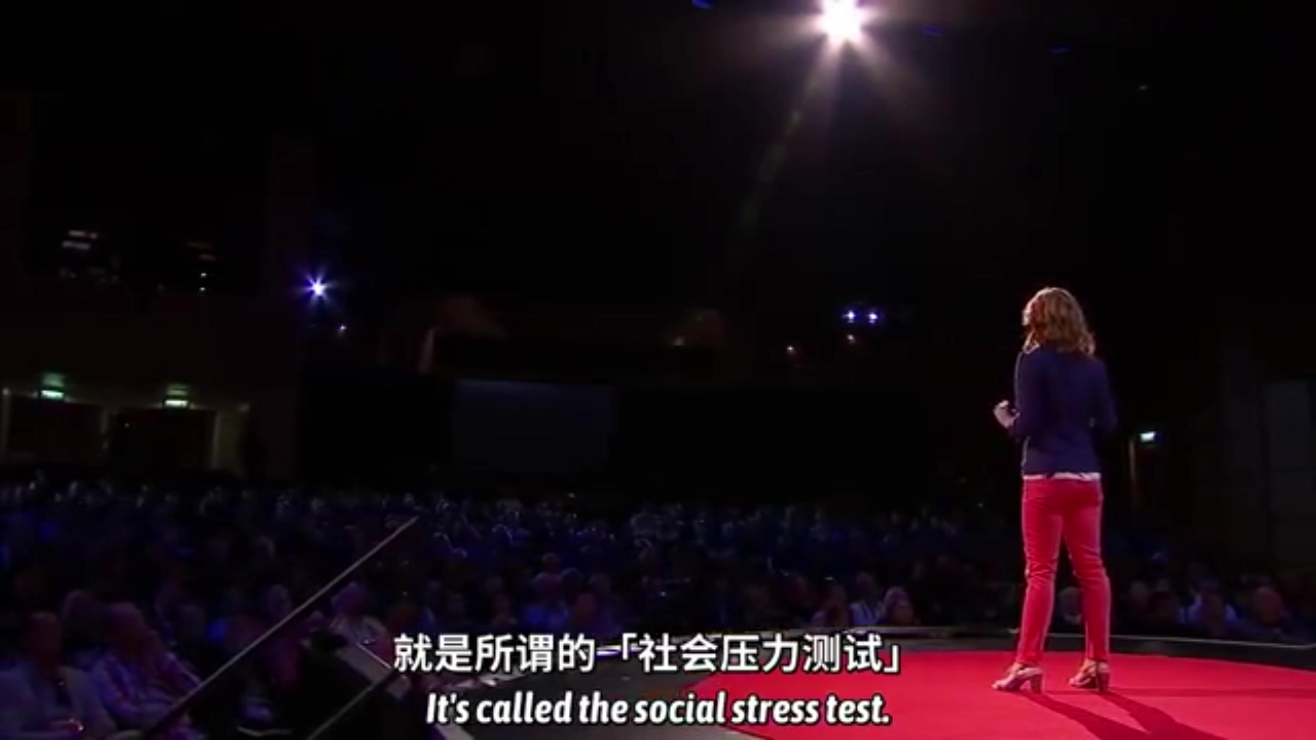 【TED】健康心理学家教你两个技巧,缓解压力!哔哩哔哩bilibili