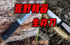 Download Video: 分享几款荒野求生冒险利器生存刀