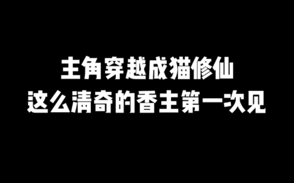 主角穿越成猫修仙,这么清奇的香主第一次见#小说#小说推文#小说推荐#文荒推荐#宝藏小说 #每日推书#爽文#网文推荐哔哩哔哩bilibili