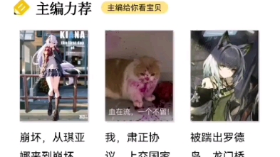 bilibili《刺猬猫阅读》简单打开,二次元风格明显,美中不如:没有听书功能(点击视频下方的广告链接可以领到 米)哔哩哔哩bilibili