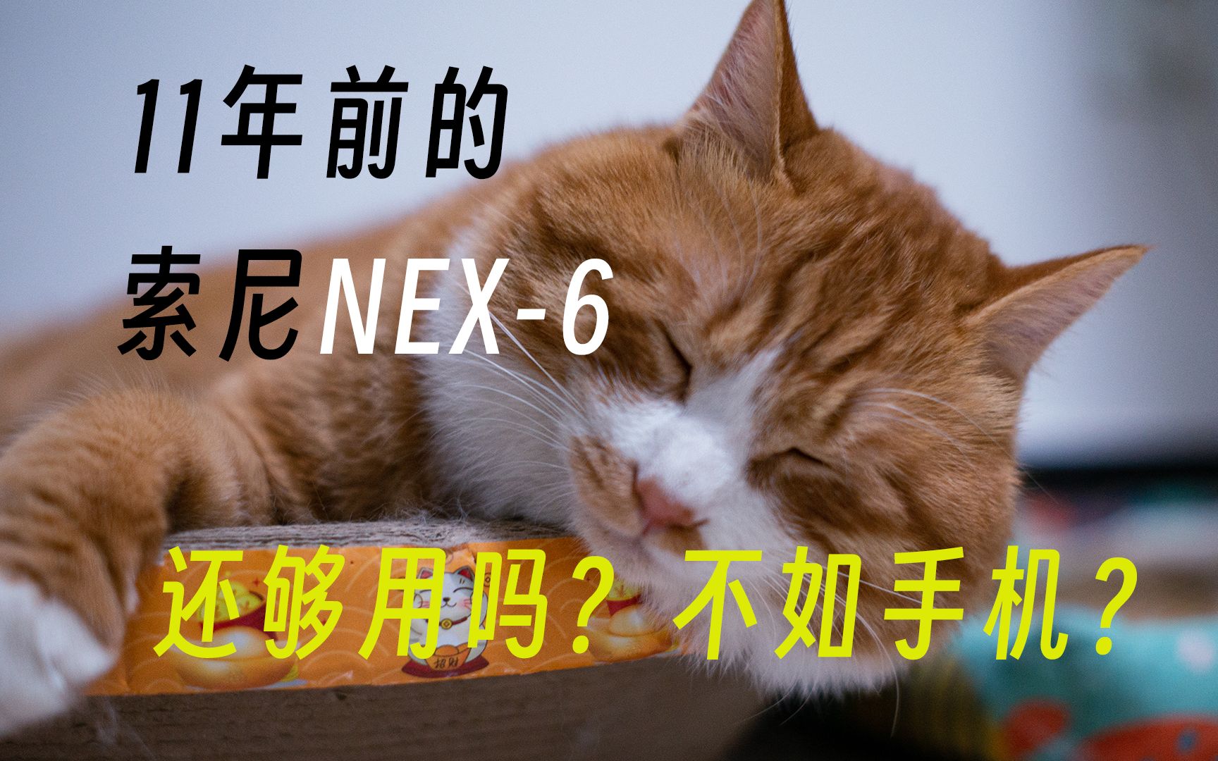 【索尼微单】2023入门摄影用1200元的索尼奶昔nex6能拍出怎样的照片哔哩哔哩bilibili