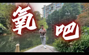 Download Video: 把森林带入家里：天然氧吧的重庆新家【重庆探房Vlog】