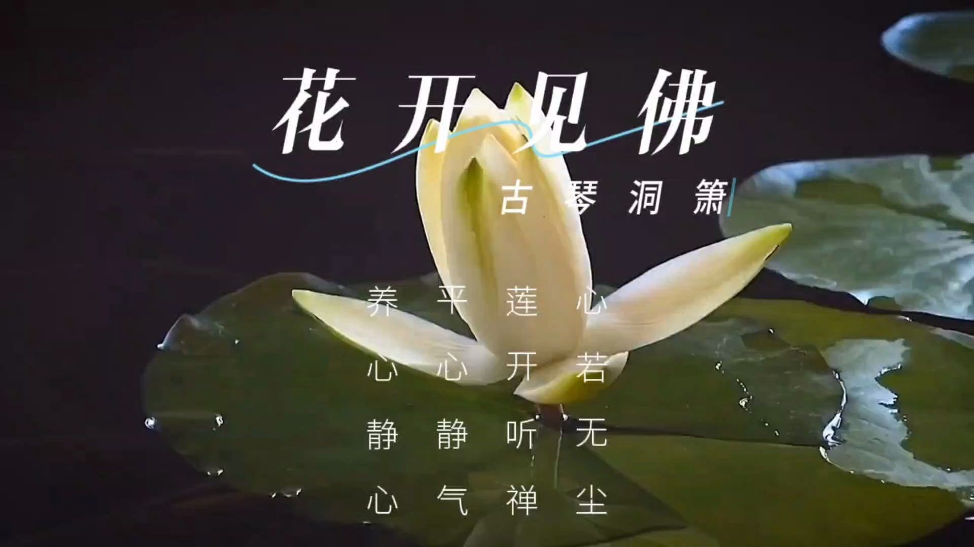 [图]【音乐静听】79古琴洞箫《花开见佛》心若无尘，莲开听禅，平心静气，养心静心，禅意幽幽，远离喧嚣，安享内心的宁静，古朴典雅，空灵脱俗，排忧解郁