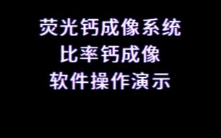 荧光钙成像系统 比率钙成像 软件操作演示哔哩哔哩bilibili