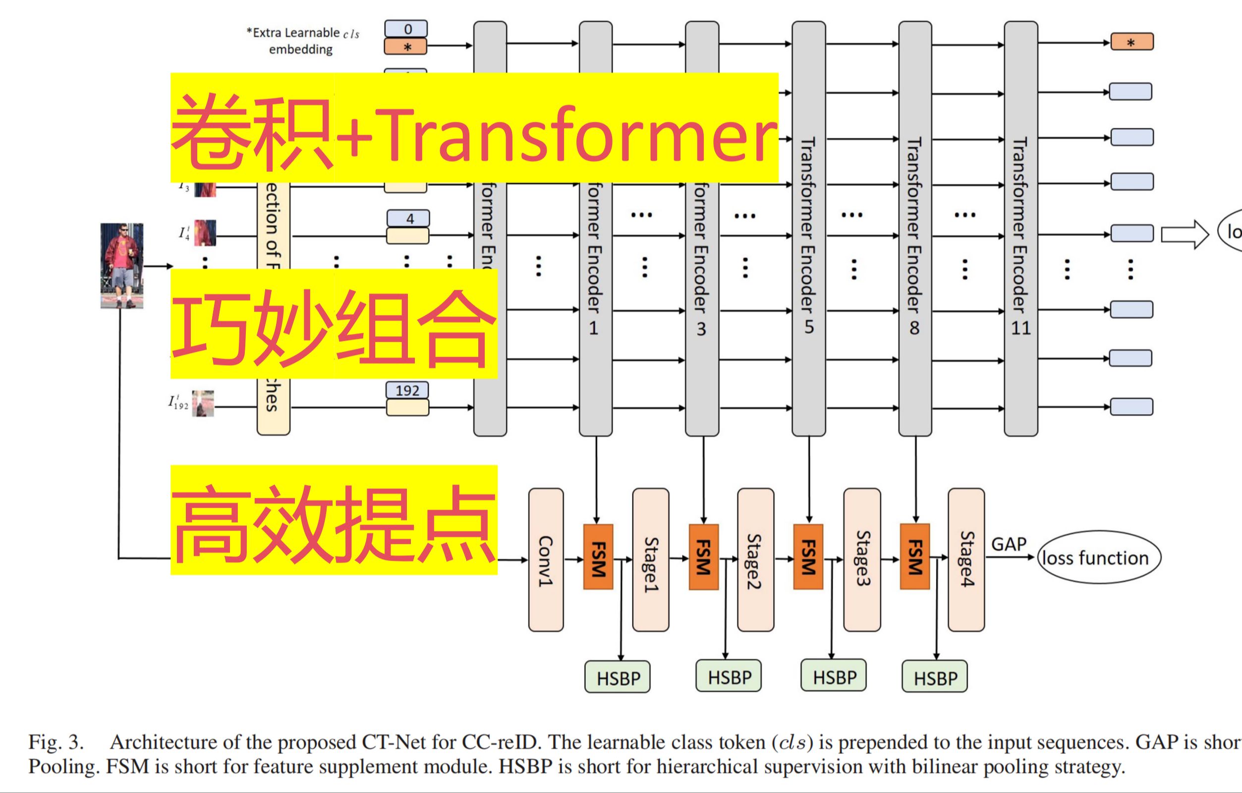 【文献汇报】基于卷积和Transformer的双流网络哔哩哔哩bilibili