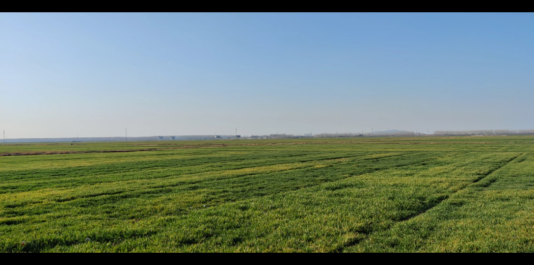 苏北平原_哔哩哔哩 (゜-゜)つロ 干杯~-bilibili