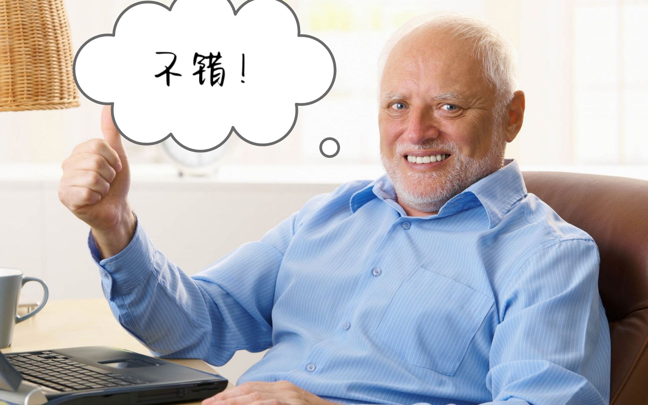 【meme大佬】中字 怎样成为表情包Hide the Pain Harold大佬的 (Andras Arato)哔哩哔哩bilibili