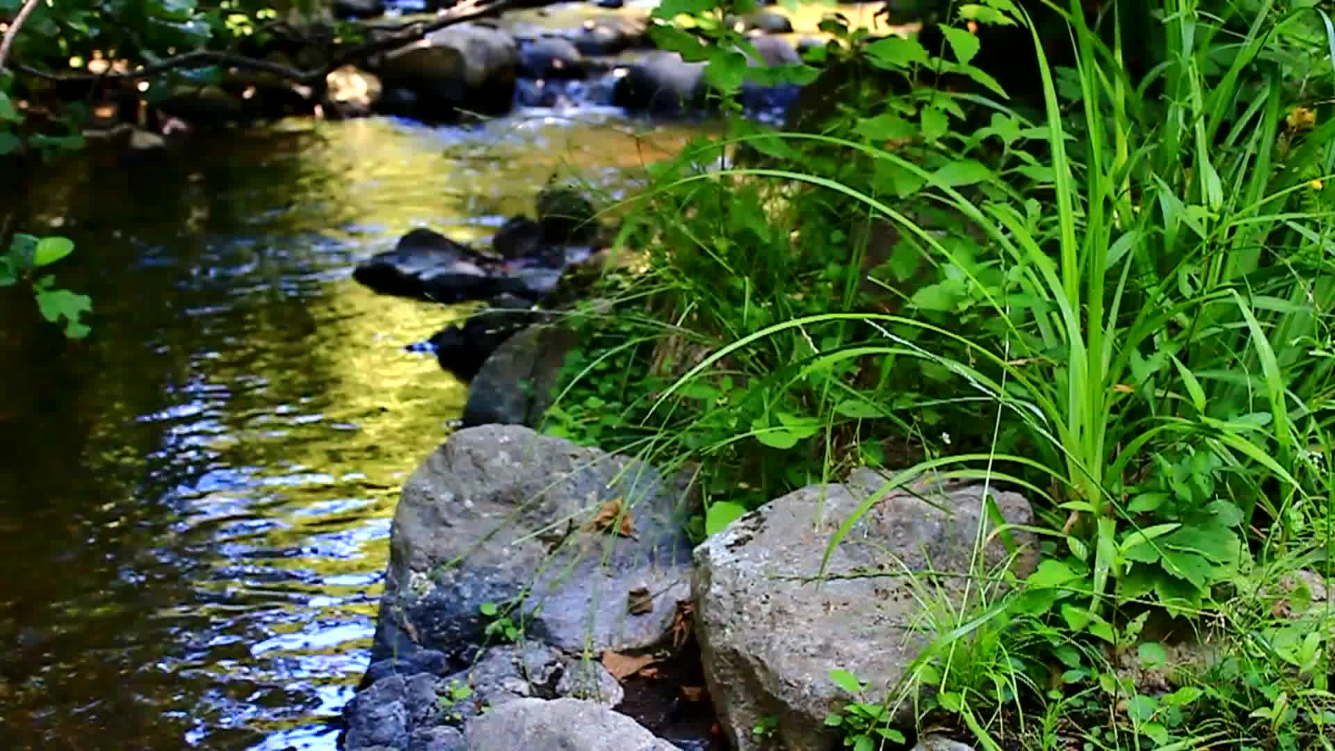 [图]【素材共享】可商用视频剪辑素材集锦：山光水色 山水 溪流 山