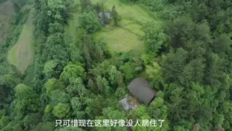 Download Video: 重庆大山深处有人家，绿水青山景色宜人，是一个搞养殖的好地方