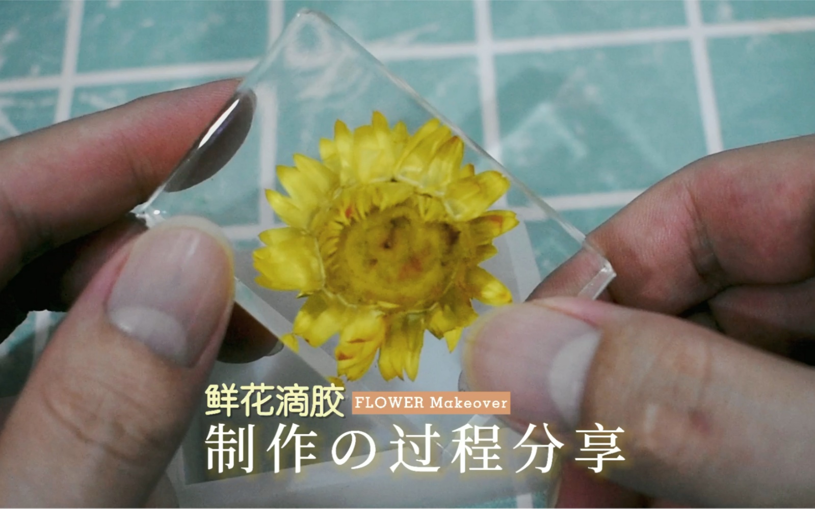 鲜花标本DIY制作分享,可以装饰你的窝啦哔哩哔哩bilibili