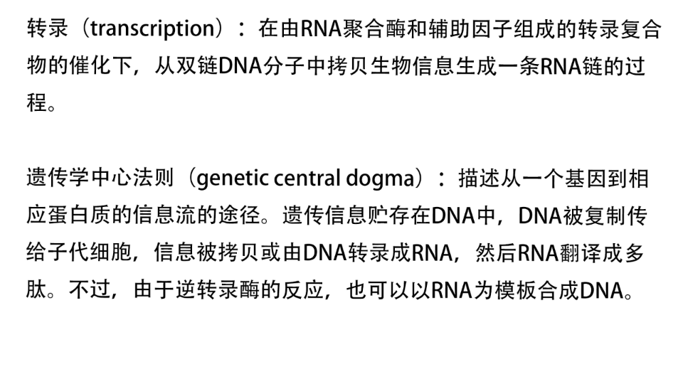 【生化】名词解释(14)转录、遗传学中心法则、逆转录酶、单链结合蛋白哔哩哔哩bilibili