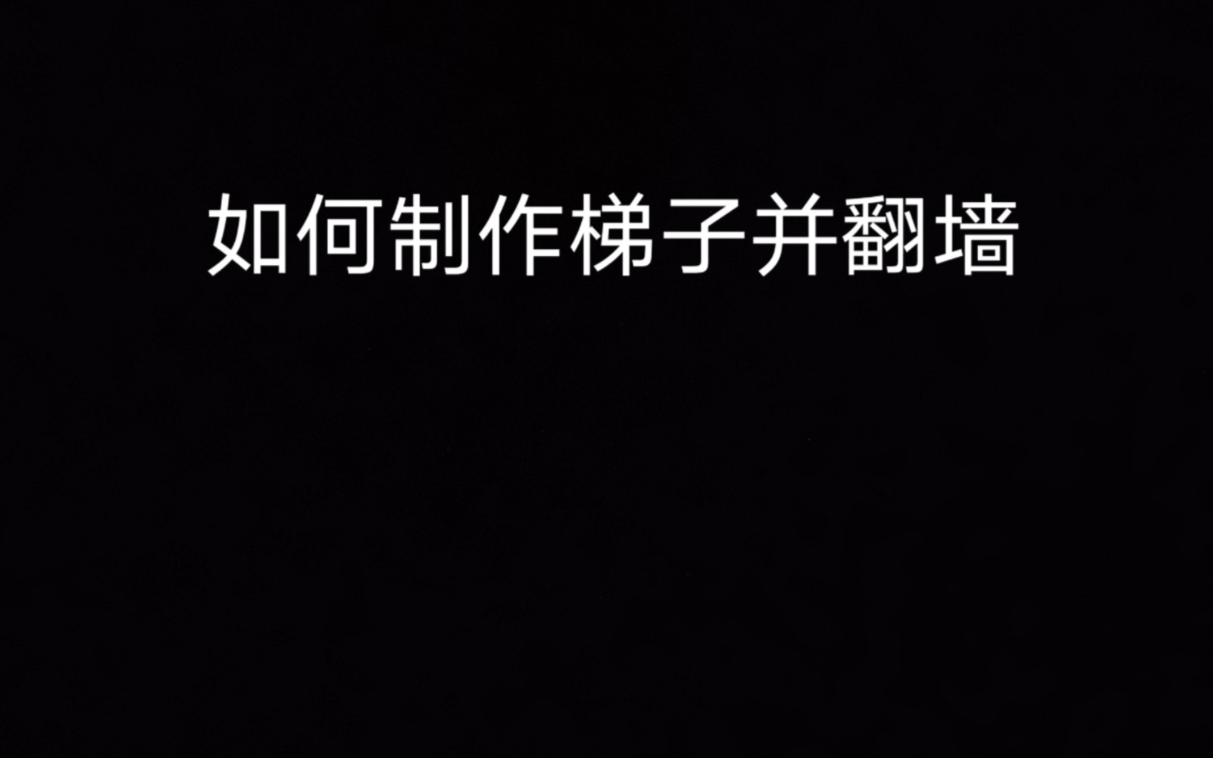 如何制作梯子并翻墙(标题党)哔哩哔哩bilibili演示