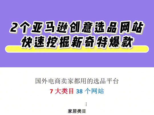 2个亚马逊创意选品网站 快速挖掘新奇特爆款!哔哩哔哩bilibili