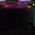 世界初！金魚と遊べる生放送　操作方法は動画説明欄を見てね 金魚水槽ライブ #アクアリウム #生放送(2020-6-1 9