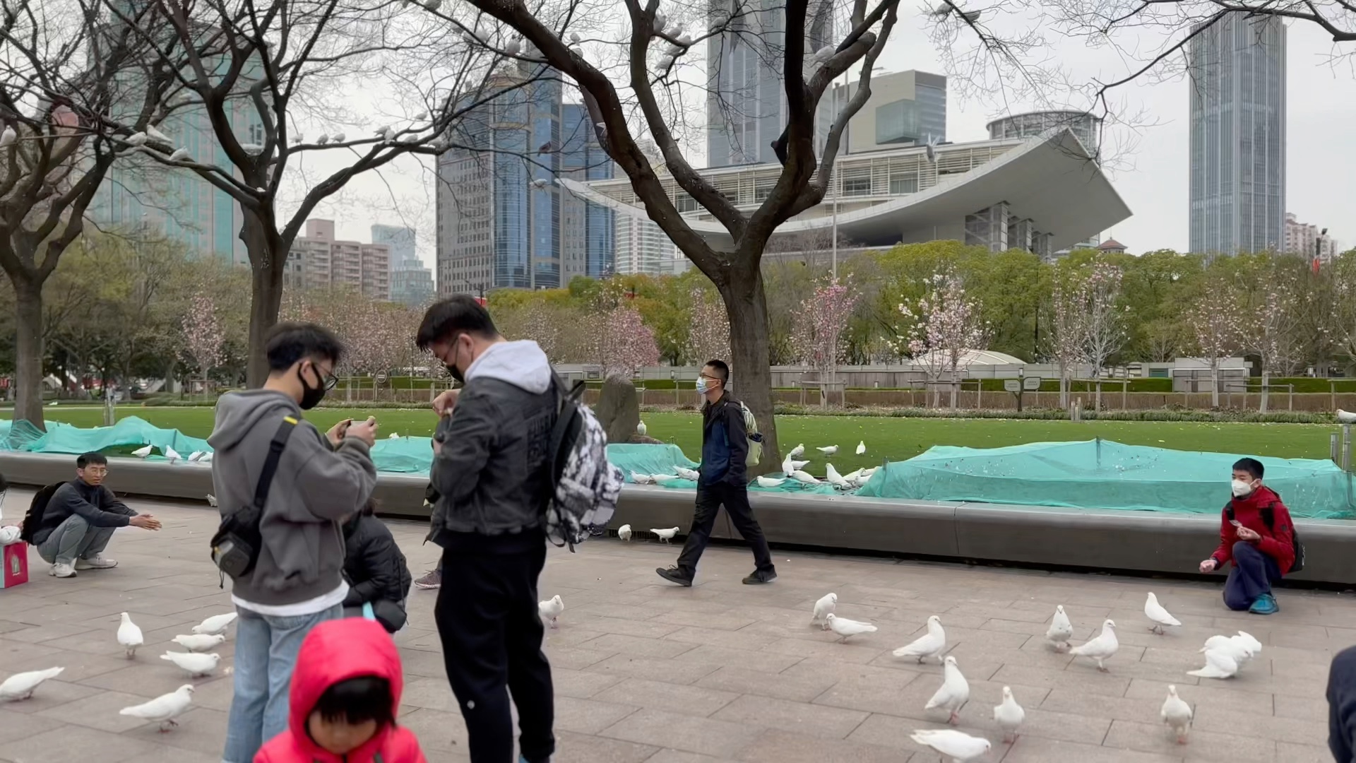 春日上海人民广场喂鸽子的人们随拍