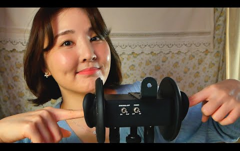 【rappeler助眠】r姐 3d90|摸耳膜,耳风,脑刮,耳塞