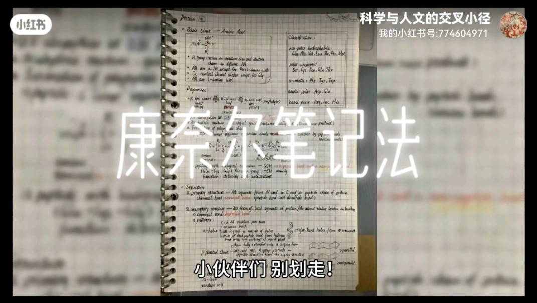 【科学与人文的交叉小径】Up主探索中,欢迎收看求三连!哔哩哔哩bilibili