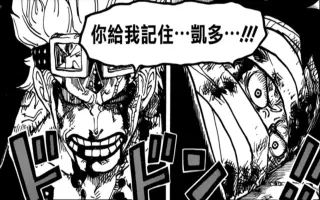 海贼王924 哔哩哔哩 Bilibili