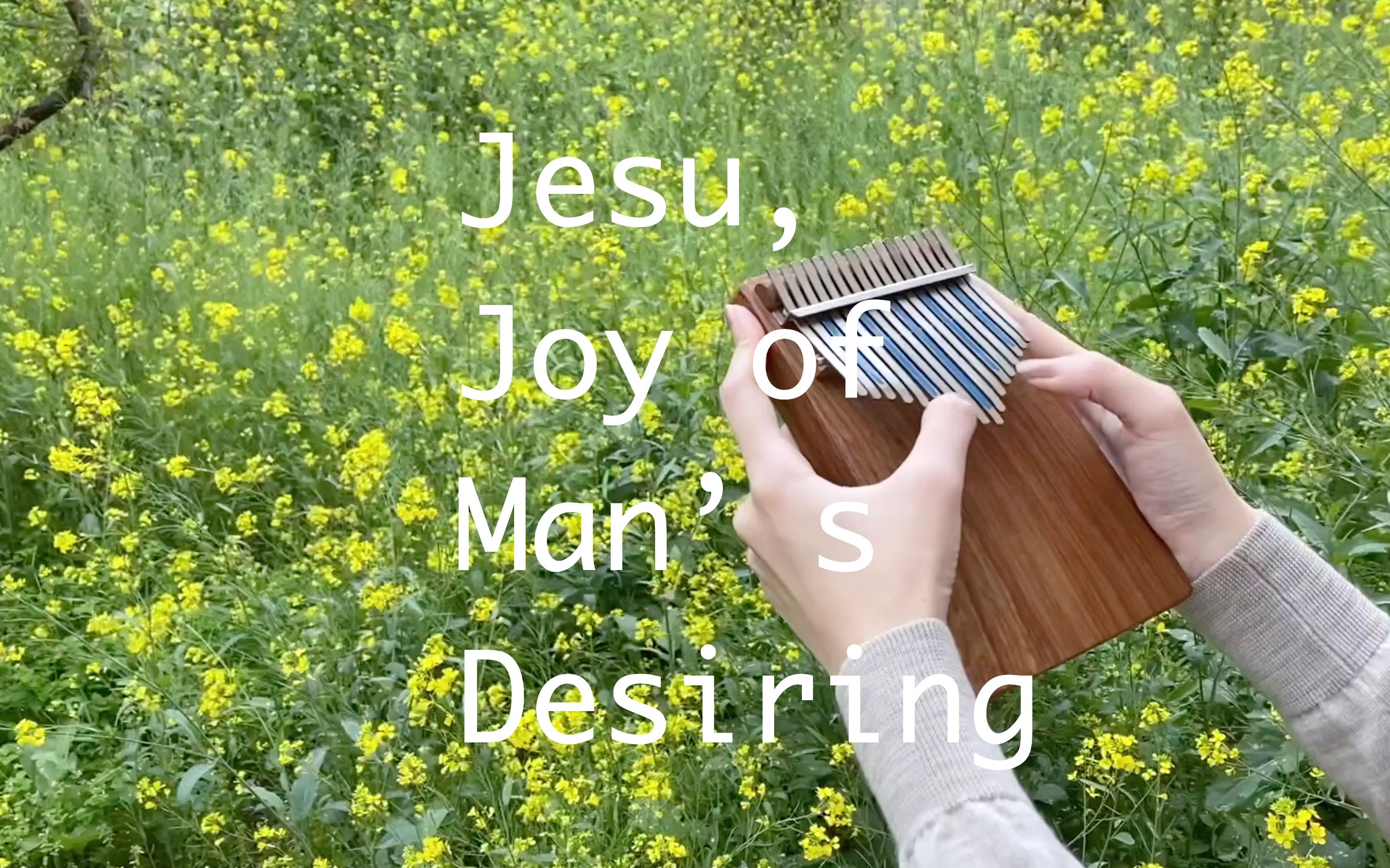 【卡林巴】巴赫 Jesu,joy of man's desiring bwv147哔哩哔哩bilibili