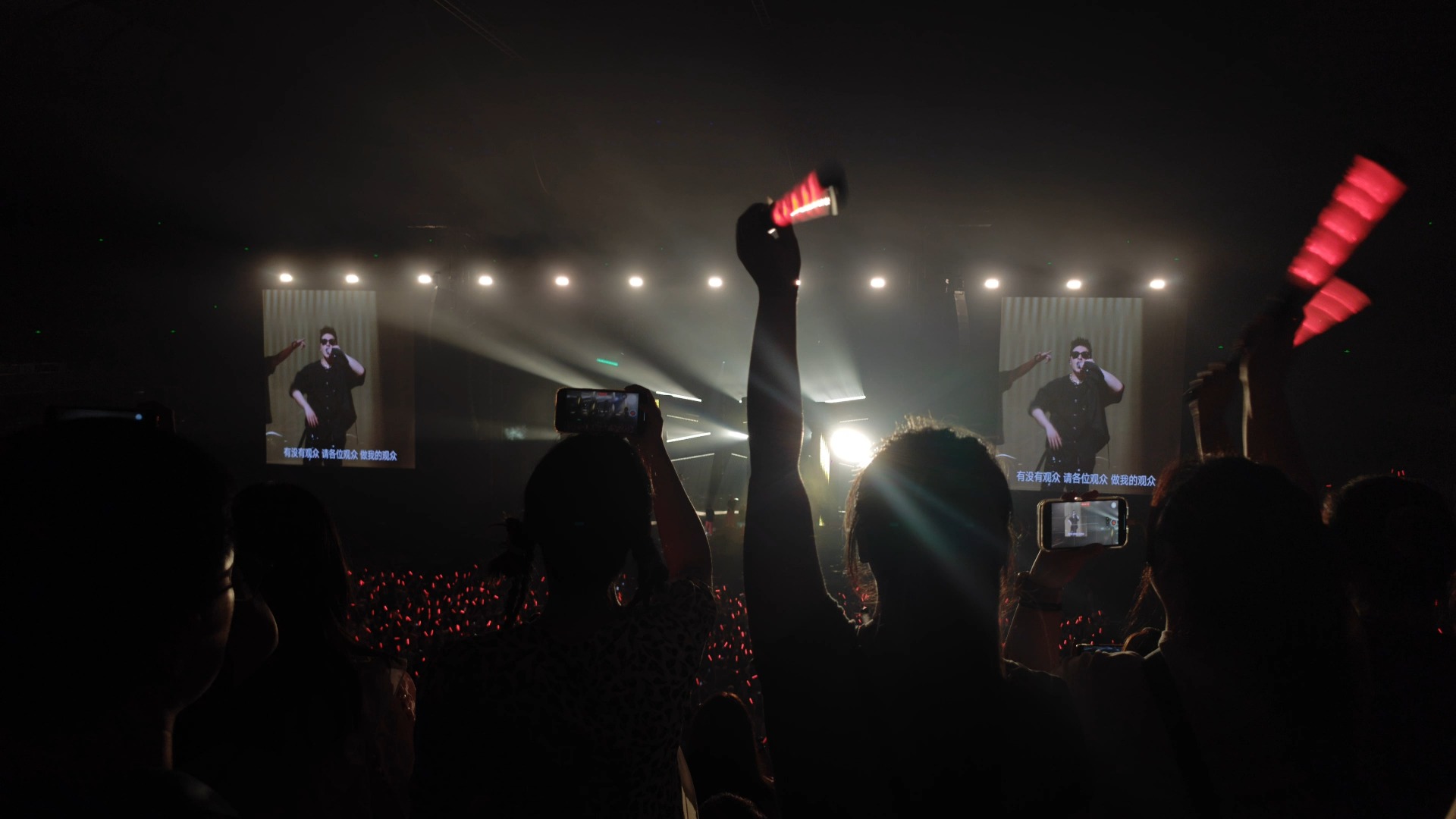 031 《我的麦克风 壁虎漫步》