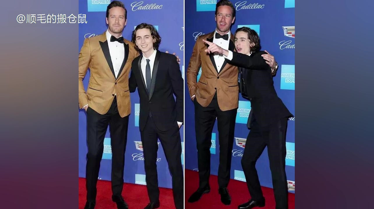 【第29届棕榈泉国际电影节】锤子 x 甜茶 【红毯 颁奖】