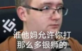 [雷(累)了]无高账一把33w银狮,难逃bvvd和垃圾电脑的制裁