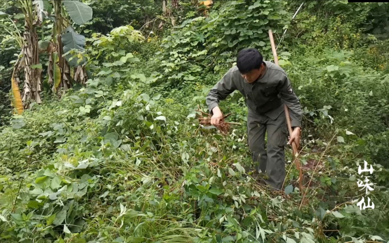 农村小伙隐居深山,每天过着原生态的什么,这样的生活你想要吗?哔哩哔哩bilibili