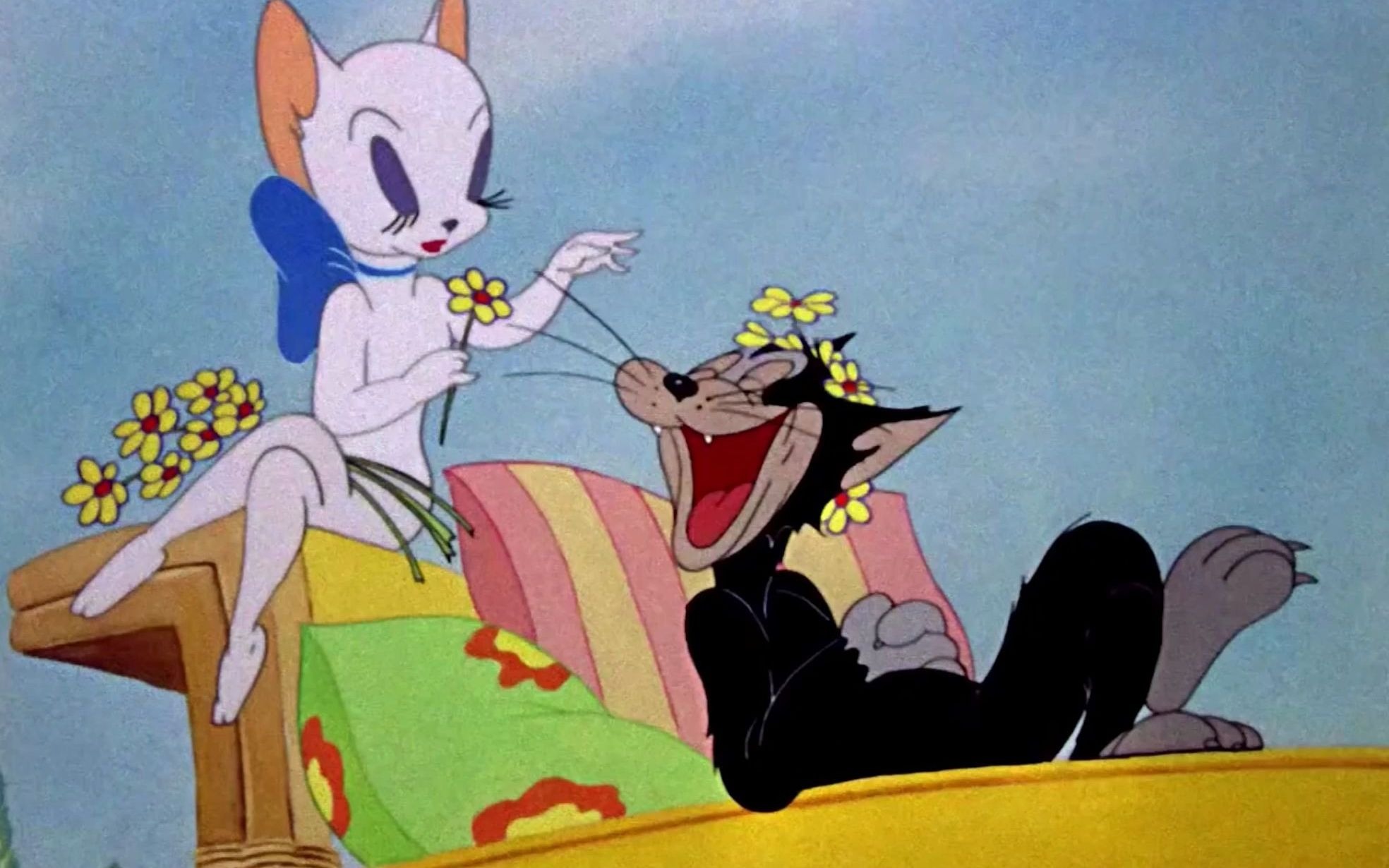 汤姆卡点秀:敢撩老汤姆看上的小母猫,佩服你的勇气!