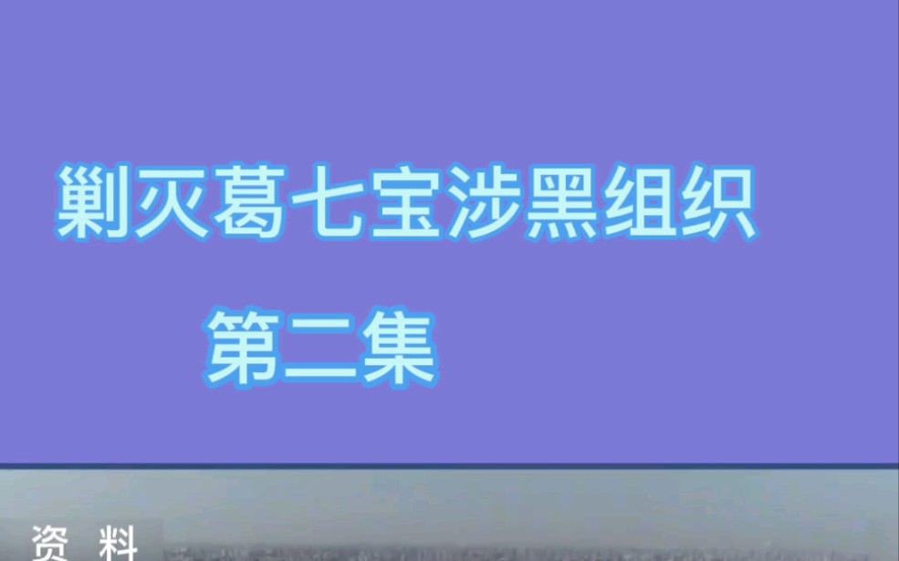 [图]剿灭葛七宝涉黑组织第二集