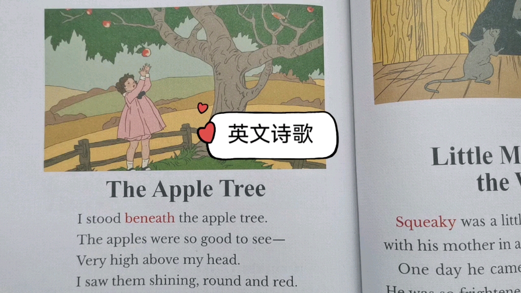 [图]美国小学英语2A-英文故事（诗歌）The Apple Tree