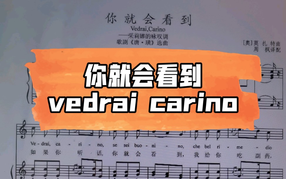 [图]意大利声乐作品《你就会看到》vedrai carino歌词范读