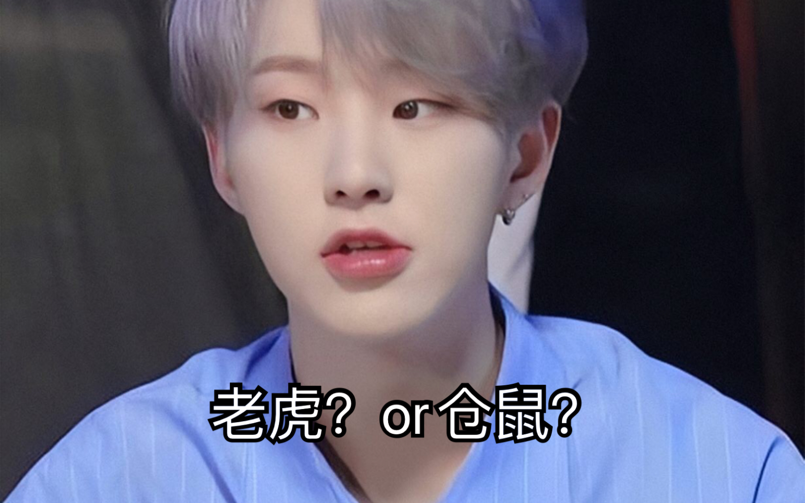 权顺荣到底是仓鼠还是老虎?