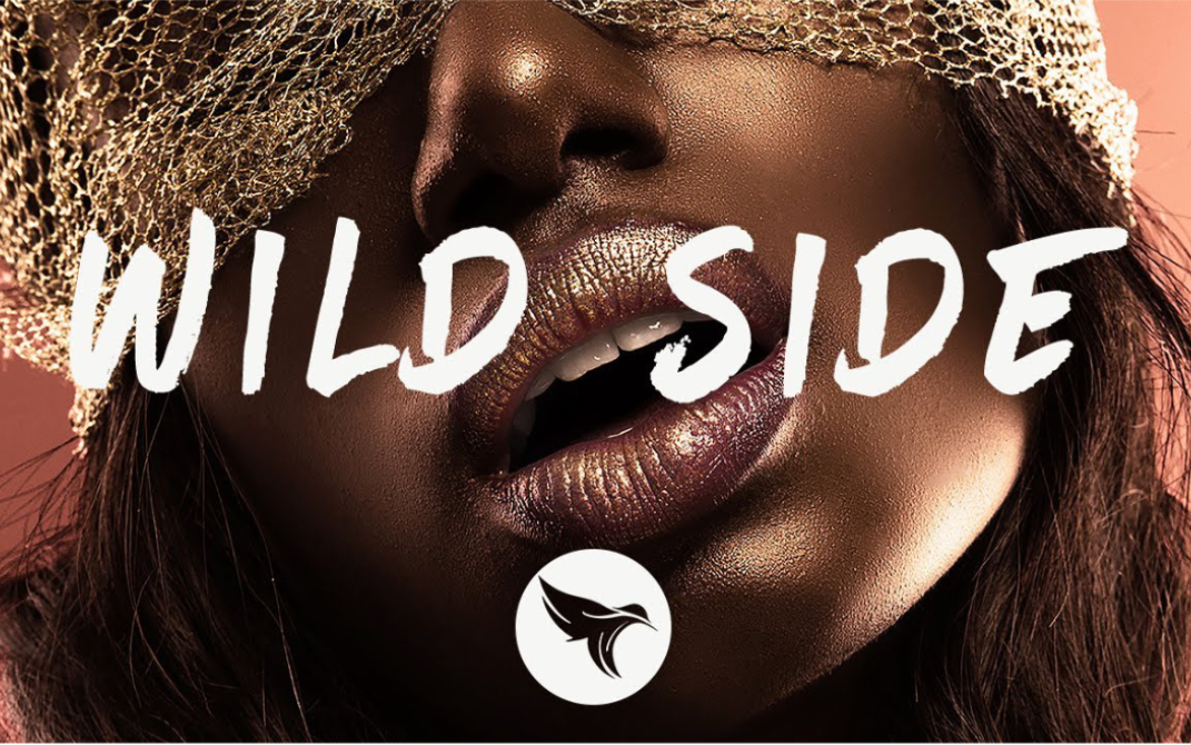 normani - wild side (extended version (audio)) ft. cardi b