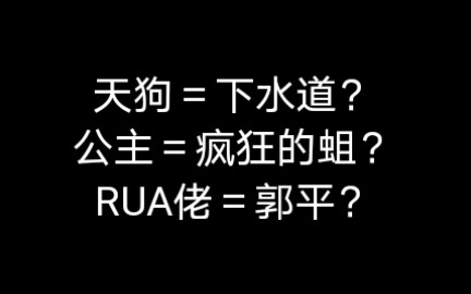 当你把rua佬的解说百度翻译十遍之后