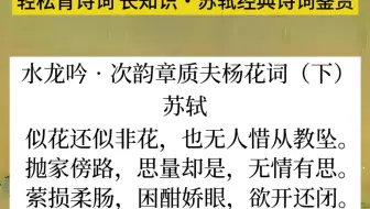 《水龙吟•次韵章质夫杨花词》苏轼 下 苏轼经典诗词鉴赏