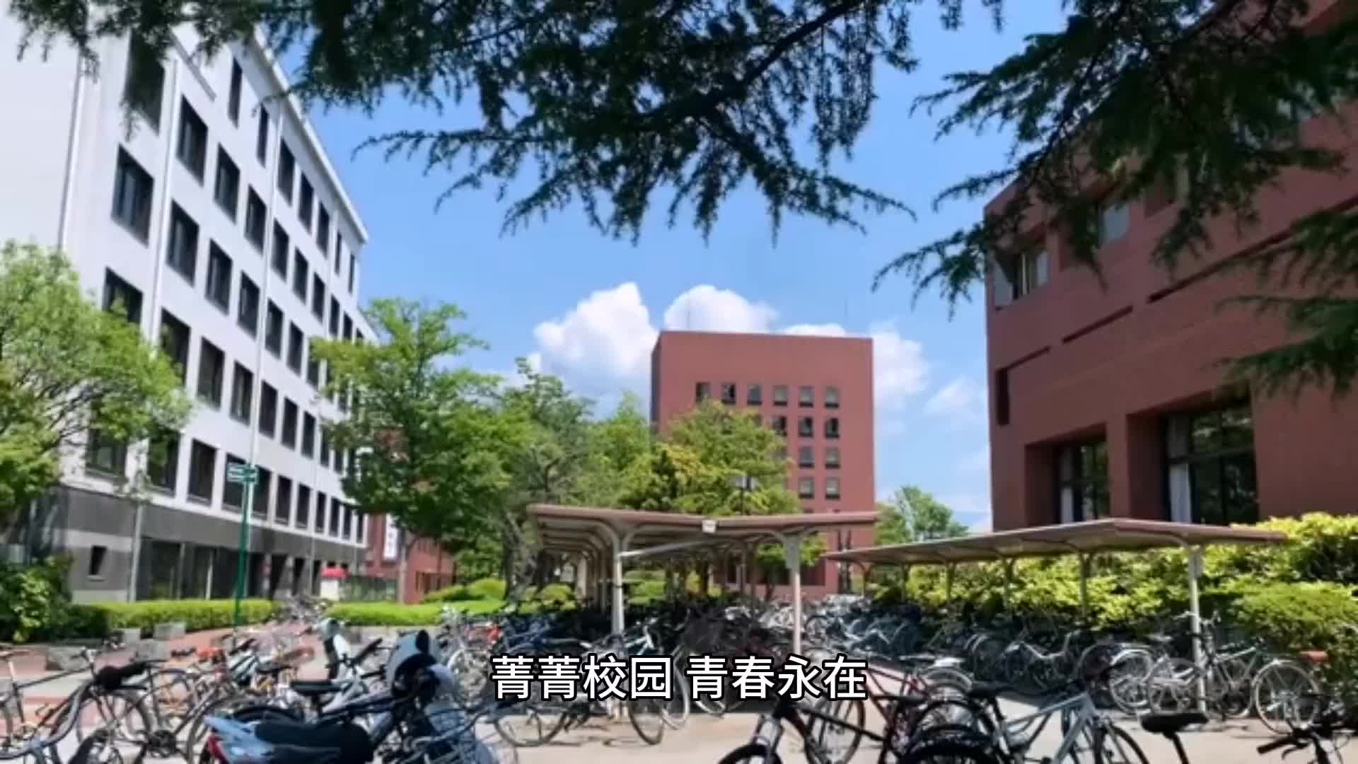 杨洋现身北京外国语大学受追捧,网友:肖奈重返校园怎么不通知我哔哩哔哩bilibili