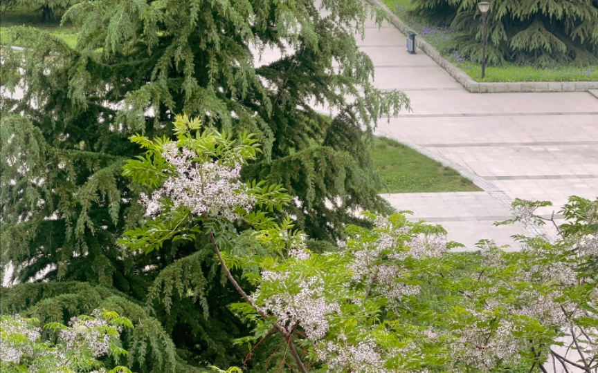 [图]“春天，也是思念的季节”