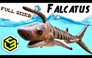 Download Video: Lime Light Miniatures 1:1 比例全尺寸 Falcatus Shark 评论！！