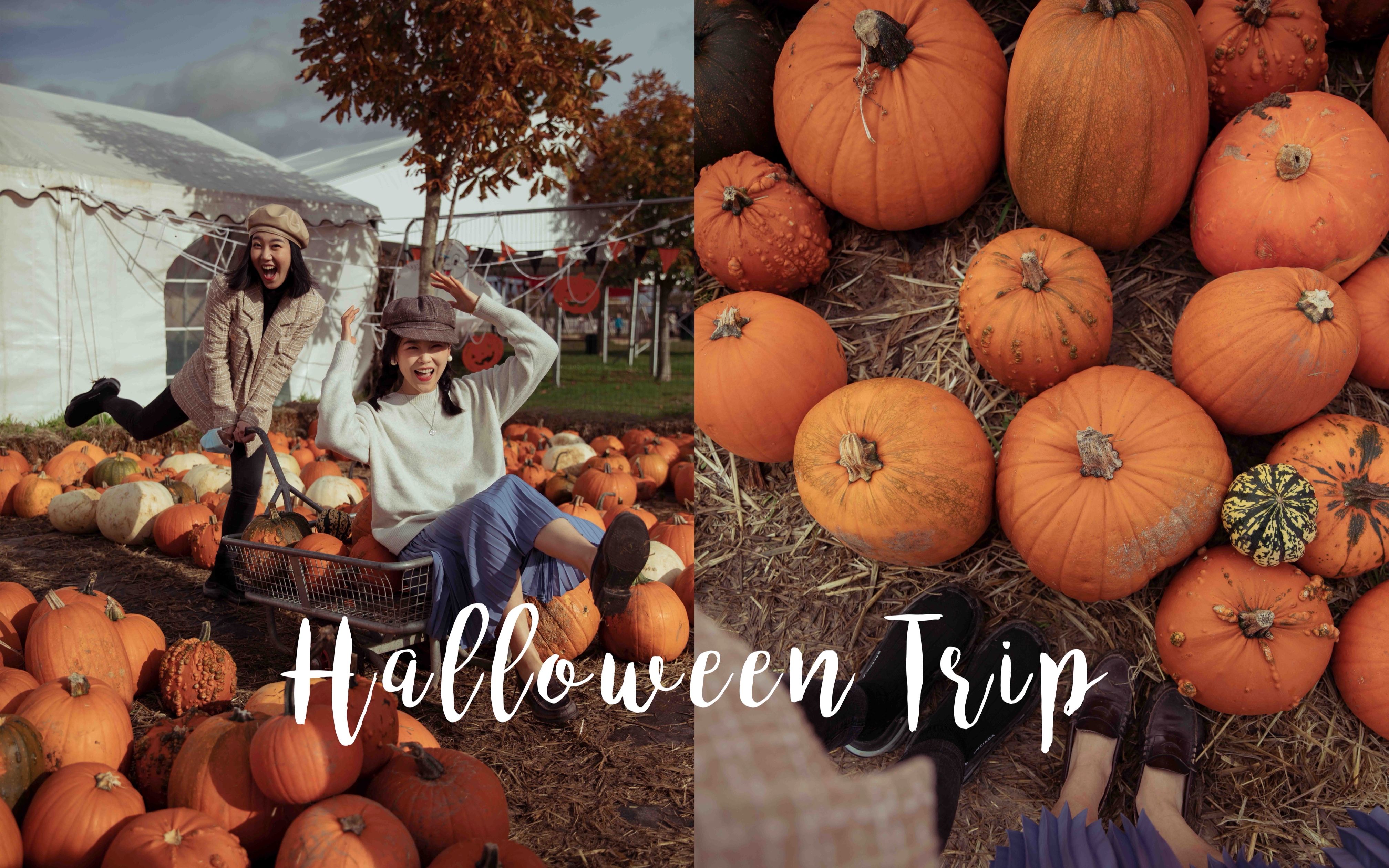 「 大鲵和嘟嘟 」万圣节特辑 | 南瓜农场历险记