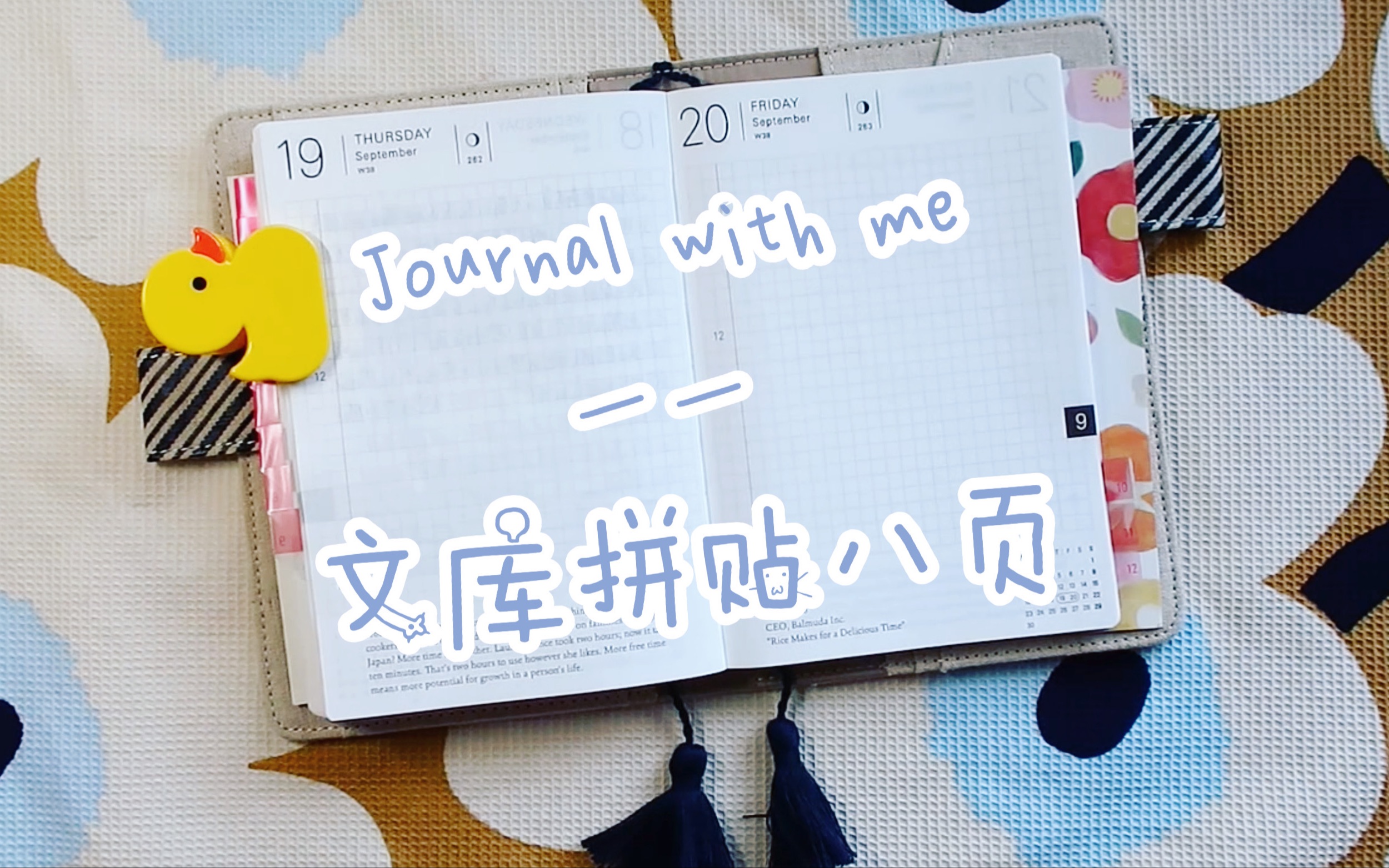 【乐乐】文库本主题拼贴八页| Journal with me之Hobonichi文库一日一页哔哩哔哩bilibili