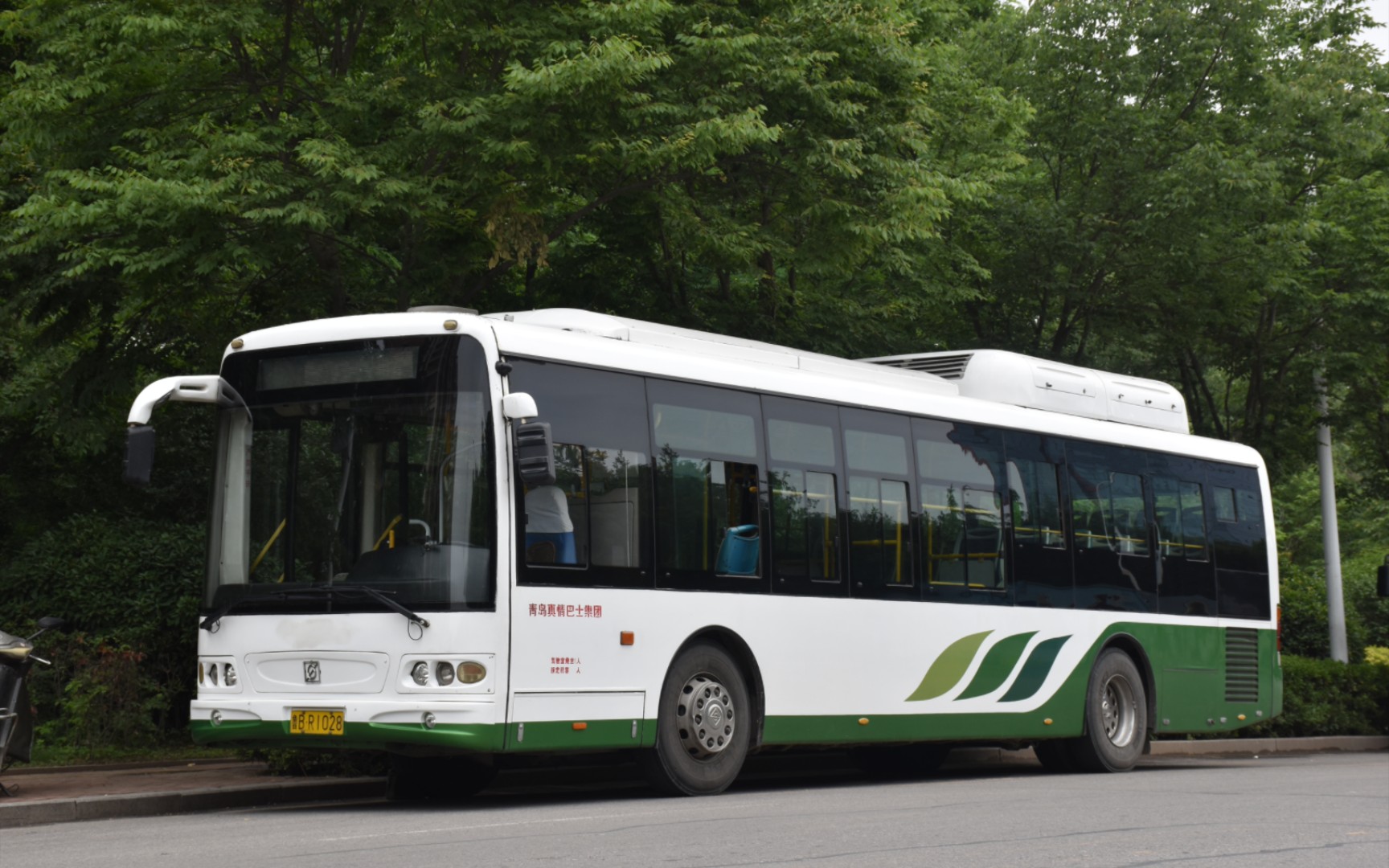 【青岛真情巴士东3路】申沃五系swb6115q7-3 潍柴机cng 艾里逊6at