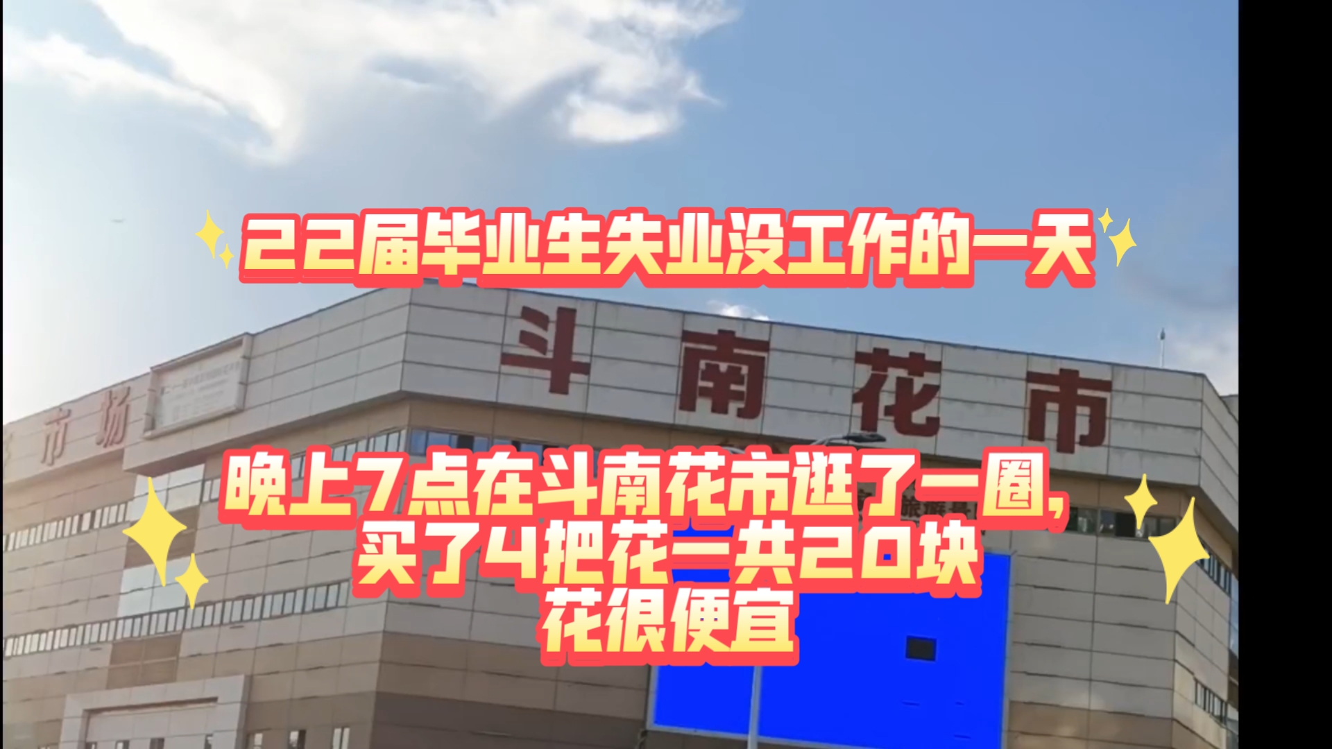 22届毕业生失业没工作的一天逛了一个小时斗南花市,花很便宜晚上67点来最合适哔哩哔哩bilibili