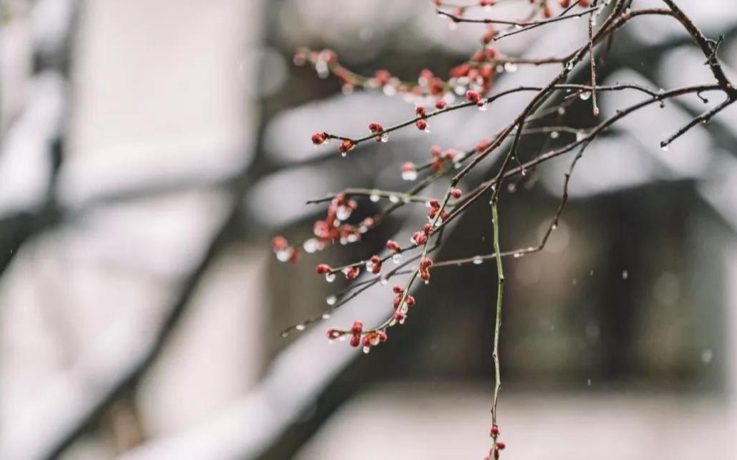 [图]诵读经典：《浣溪沙·残雪凝辉冷画屏》纳兰性德