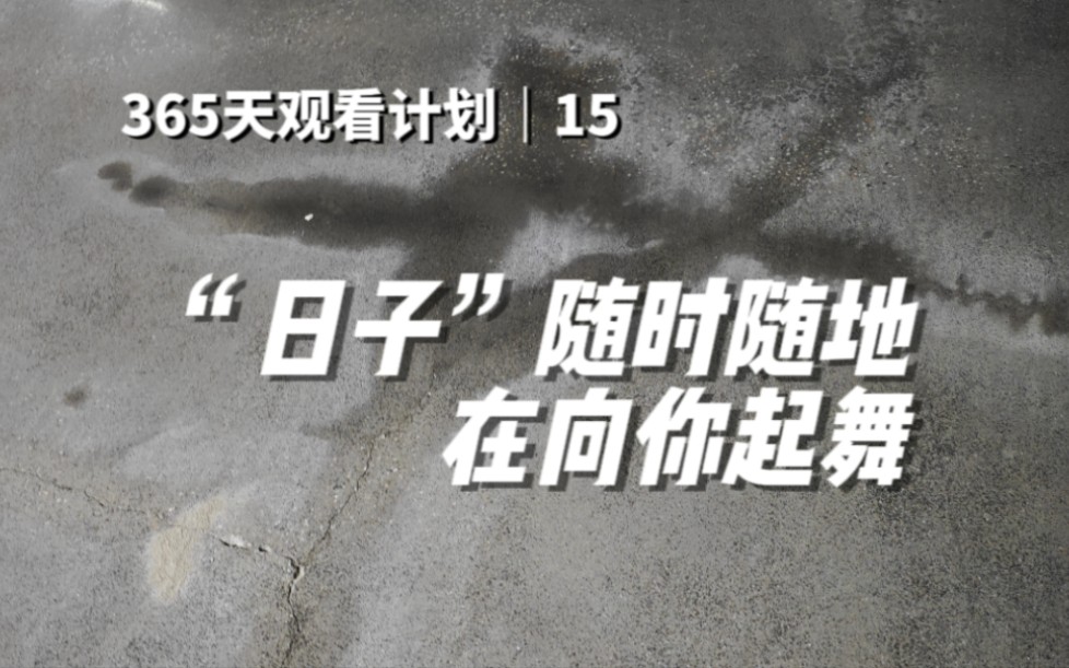 平淡的日子里,那些微小的细节,也可以充满诗意哔哩哔哩bilibili