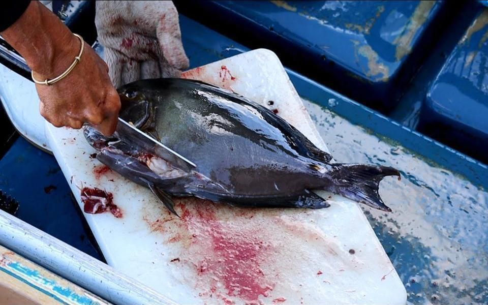 中国香港香港海鲜西贡码头生劏深水大泥鯭两条石蚌鱼